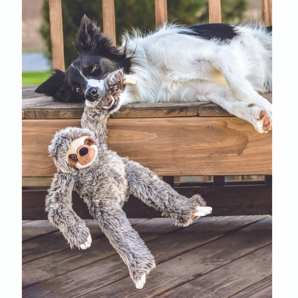 Black and white dog lying on a wooden bench and holding the arm of a Fluff & Tuff Tico Sloth plush toy.