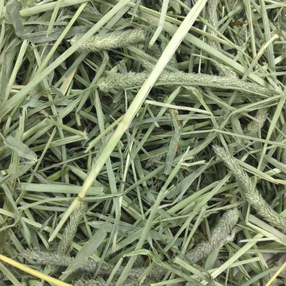 Western Timothy Hay