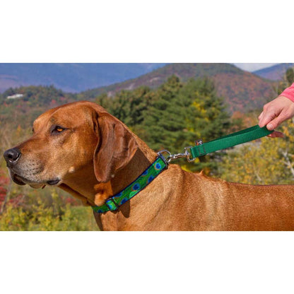 Person holding a green Lupine Pet training tab attached to a brown dog’s collar outdoors.