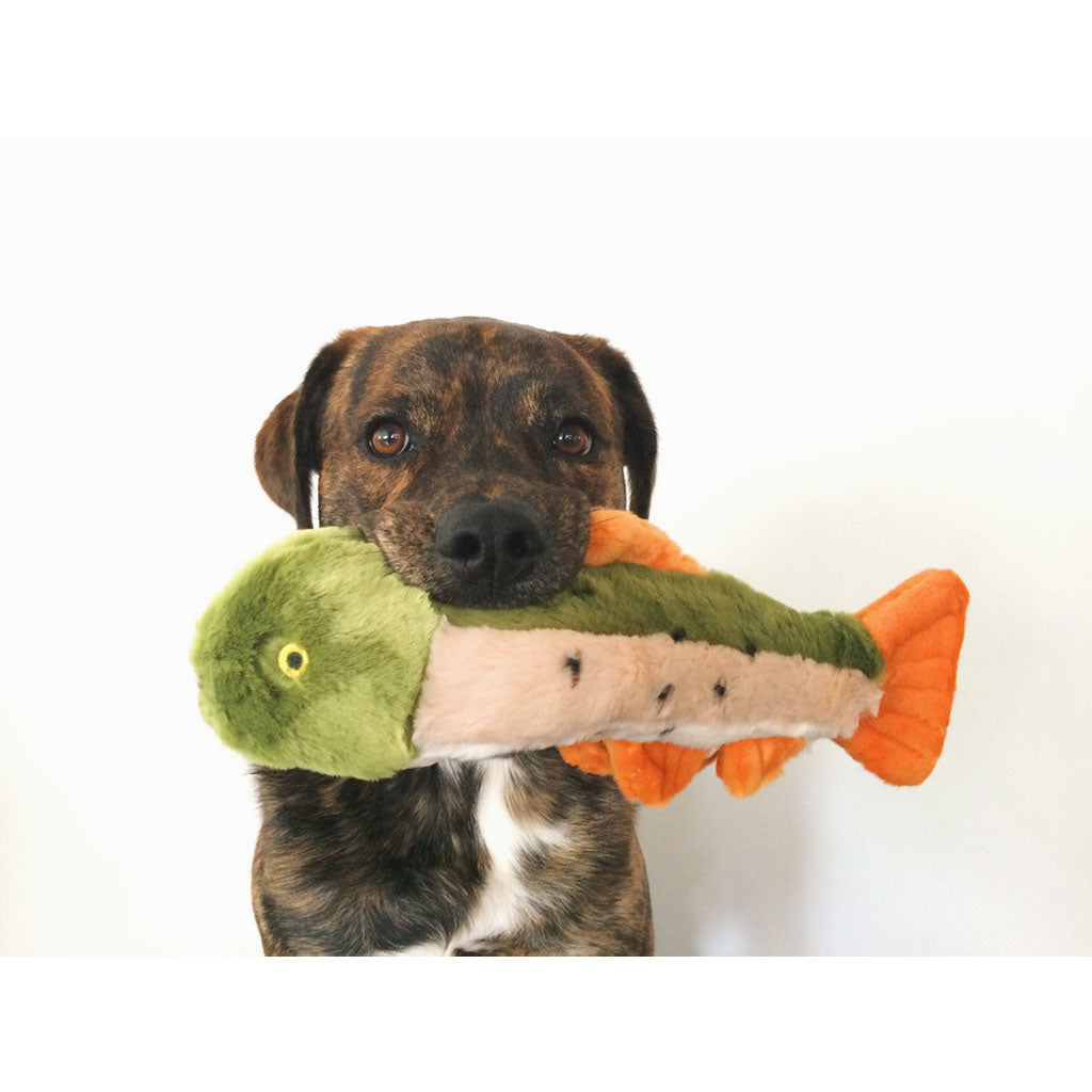 Brindle dog holding a green and orange Fluff & Tuff Ruby Rainbow Trout plush toy in its mouth.