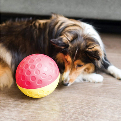 Long-haired tricolor dog lying beside a red and yellow Treat Tumble treat-dispensing ball on a wood floor.