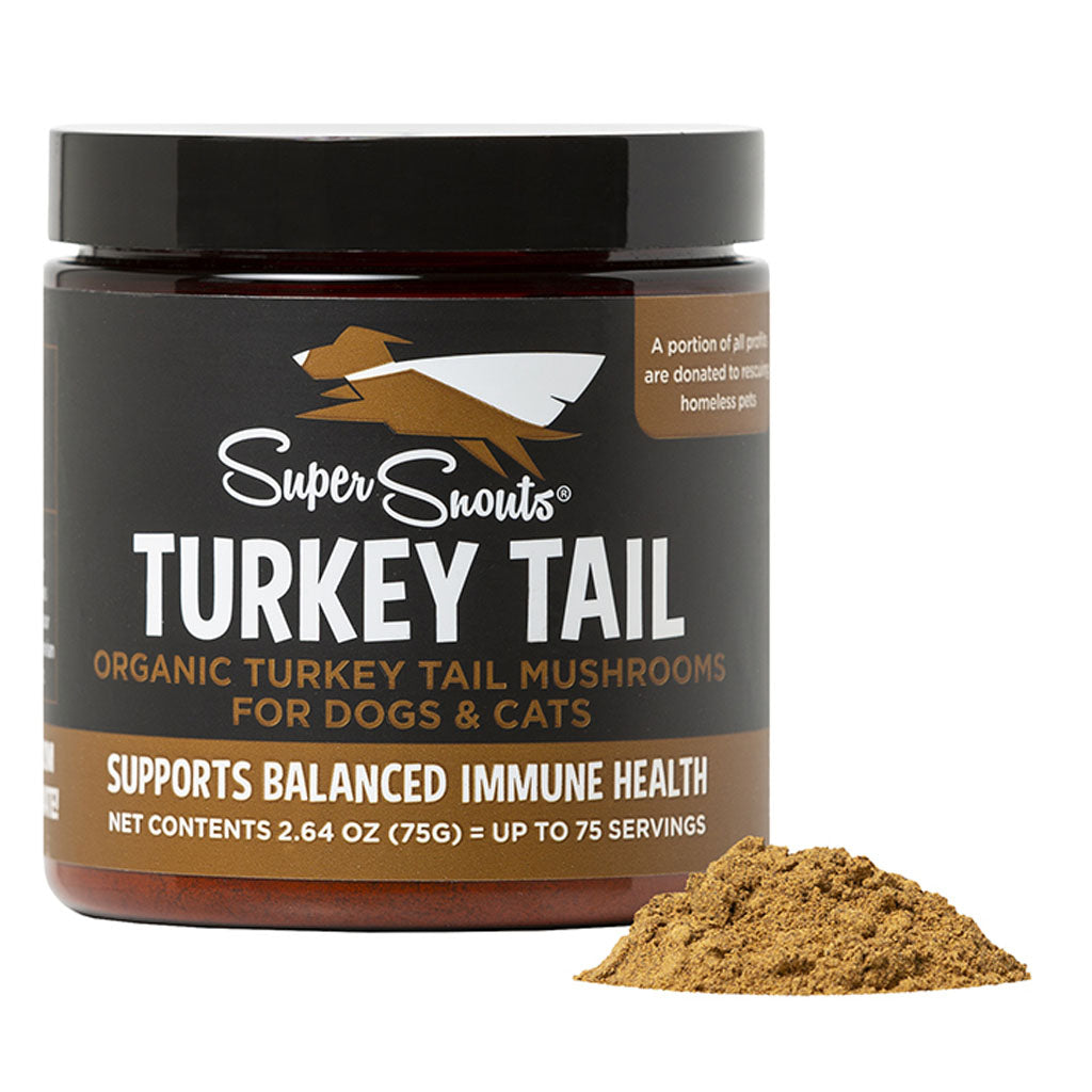 Super Snouts Turkey Tail organic mushroom supplement jar beside a mound of golden-brown powder, on white.