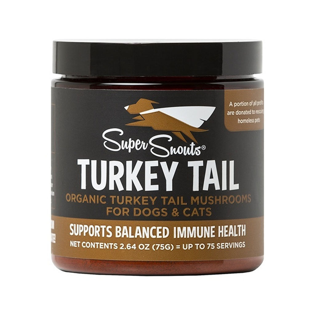 Super Snouts Turkey Tail organic mushroom supplement 2.64 oz jar with a black lid and gold label for dogs and cats, on white.