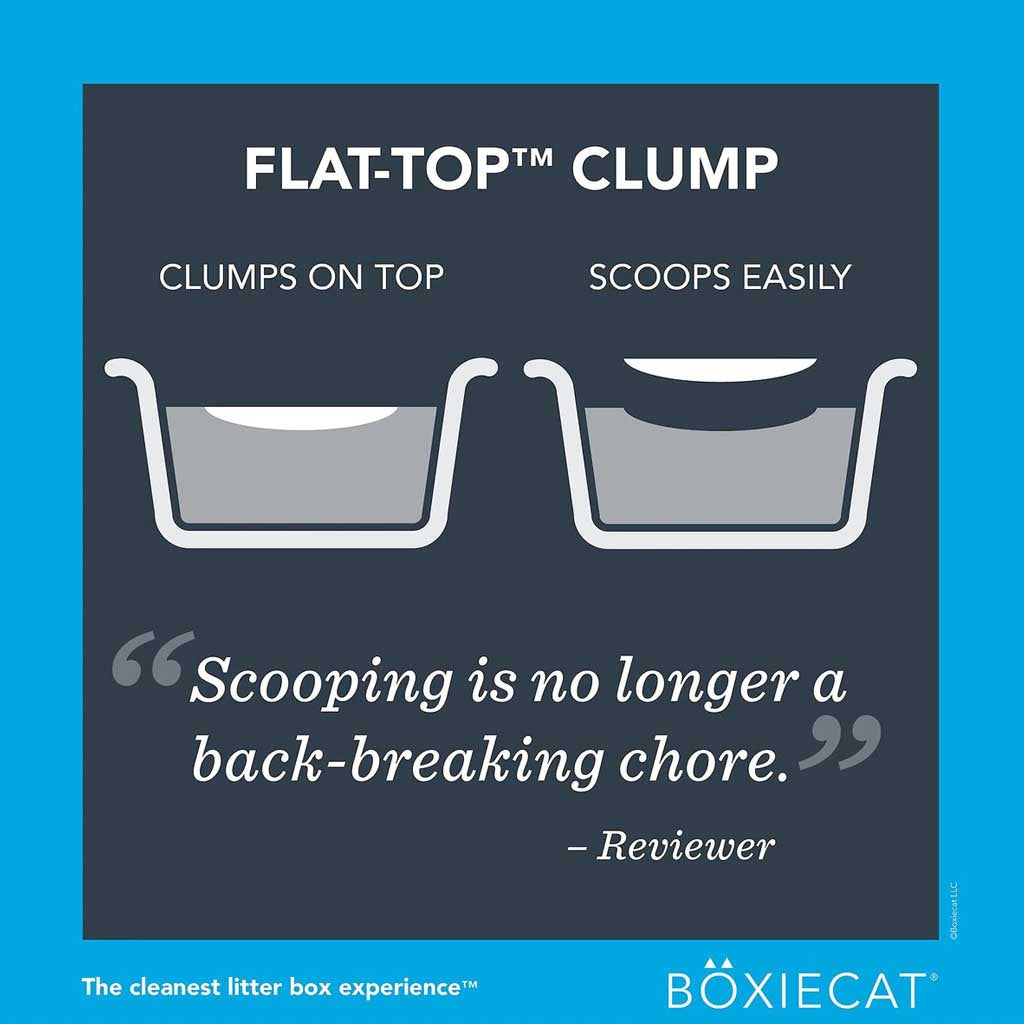 Boxiecat unscented litter diagram showing a flat-top clump forming on the litter surface and lifting out easily for scooping.