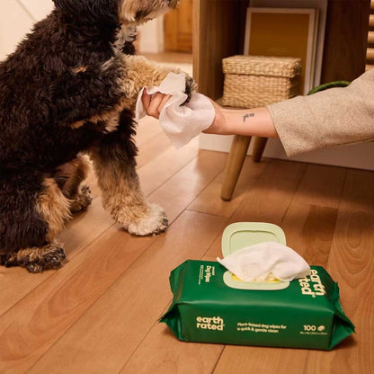Person cleaning a dog’s paw with a white wipe beside an open green pack of Earth Rated dog wipes