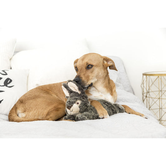 Tan dog on white bedding holding a gray Fluff & Tuff Walter Wabbit plush toy between its front paws.
