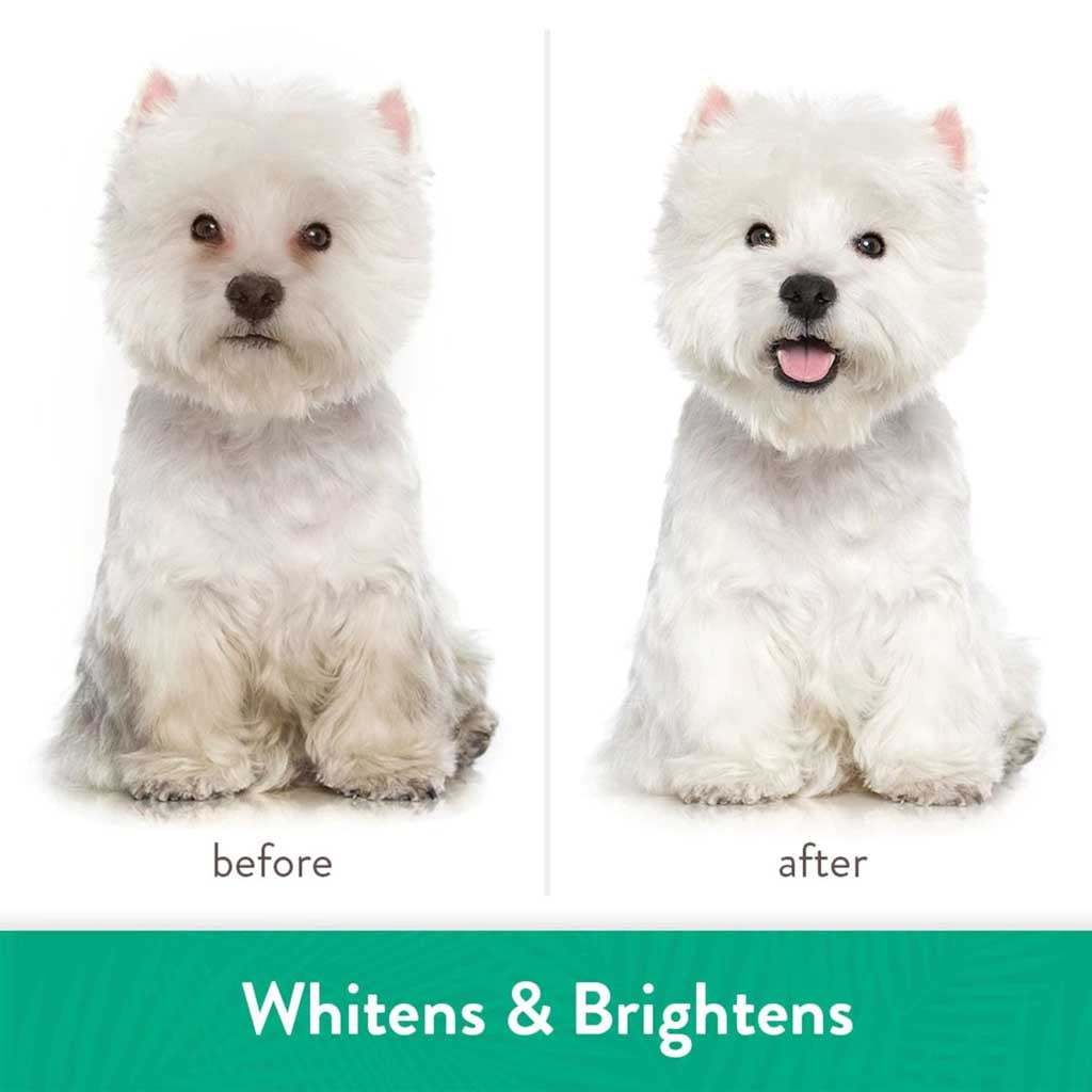 Whitening Awapuhi & Coconut Shampoo 20oz