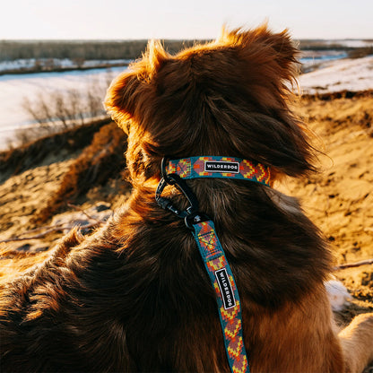 Dog wearing Havasu Ultralight Collar
