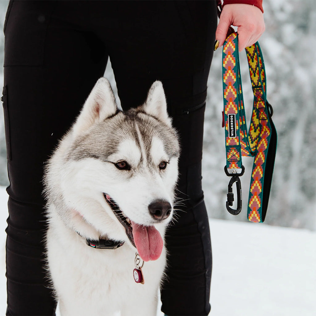 Dog using Havasu Ultralight Leash