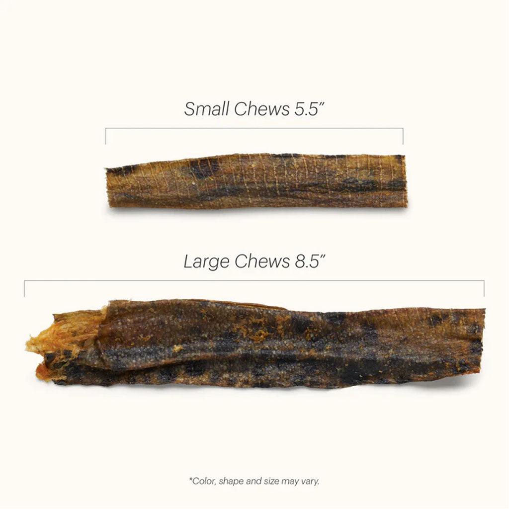 Small vs large chew measurements.
