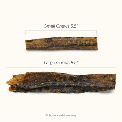 Small vs large chew measurements.