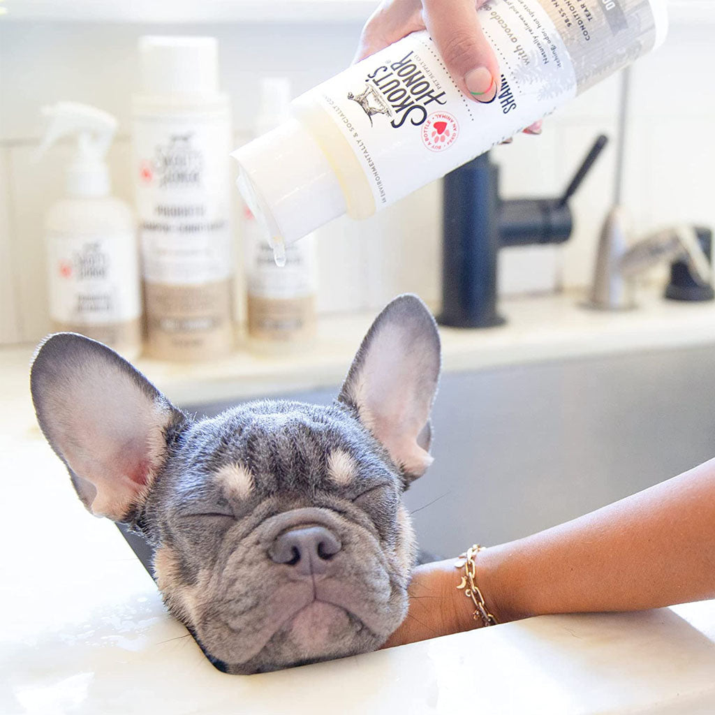 Dog being bathed with Skouts Honor Dog of the Woods shampoo.