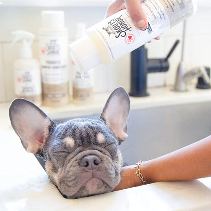 Dog being bathed with Skouts Honor Dog of the Woods shampoo.