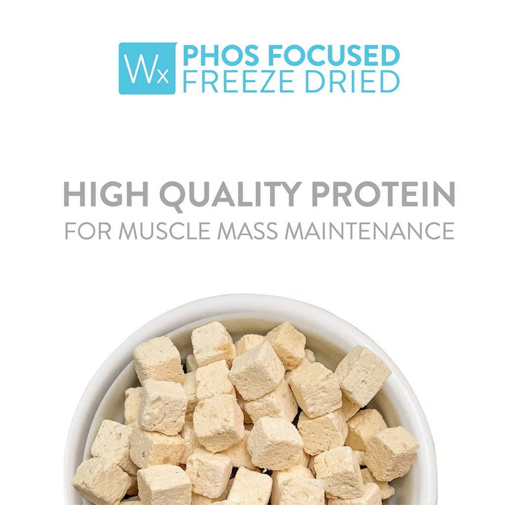 *Wx Phos Focused Chicken Breast & Tilapia Formula Grain-Free Freeze-Dried Cat Food