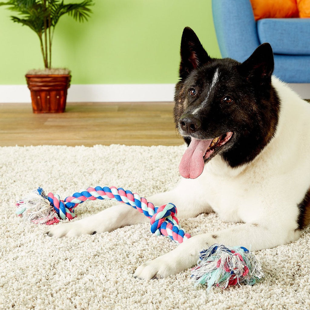 Black and white dog resting with a pink, blue, and white Mammoth three-knot rope toy on a rug.